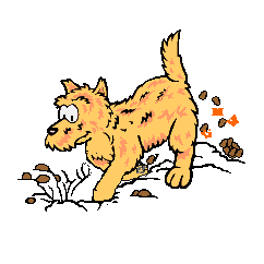 digging dog