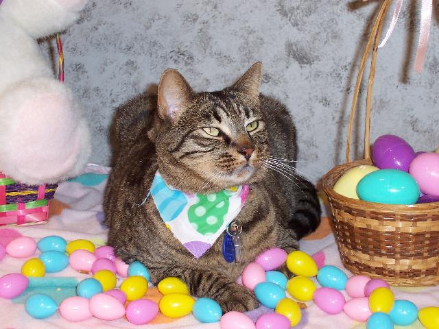 Easter Ranger