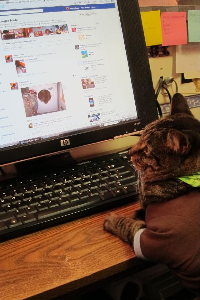 Ranger on facebook