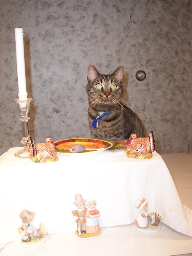 Ranger Thanksgiving