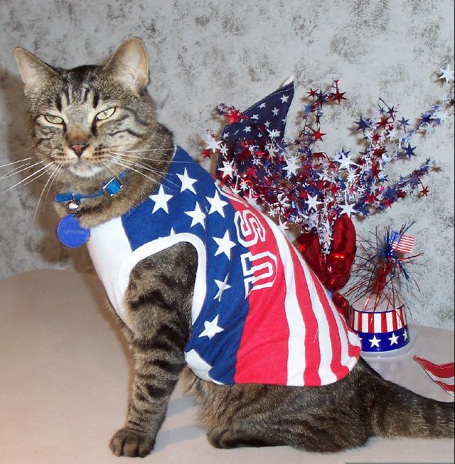 Ranger 4th of July