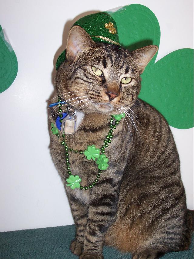 Ranger St. Patrick's Day