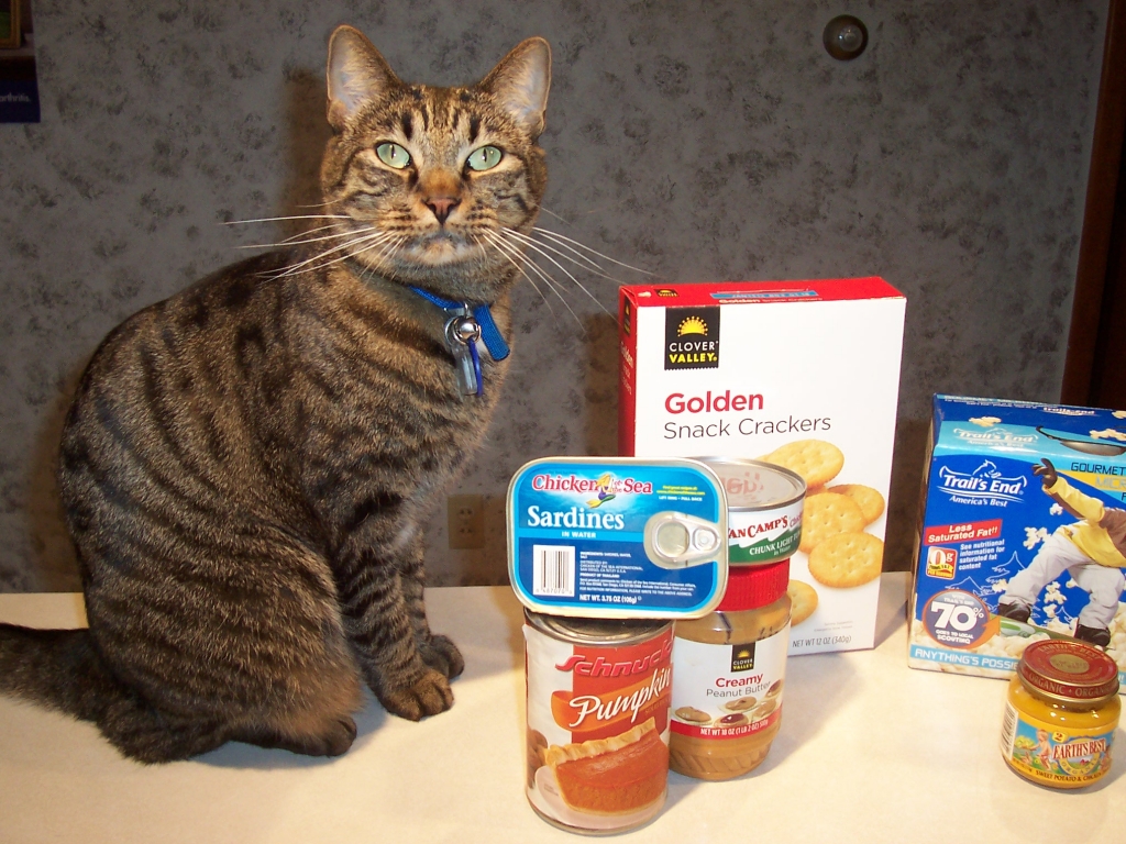 Ranger food drive