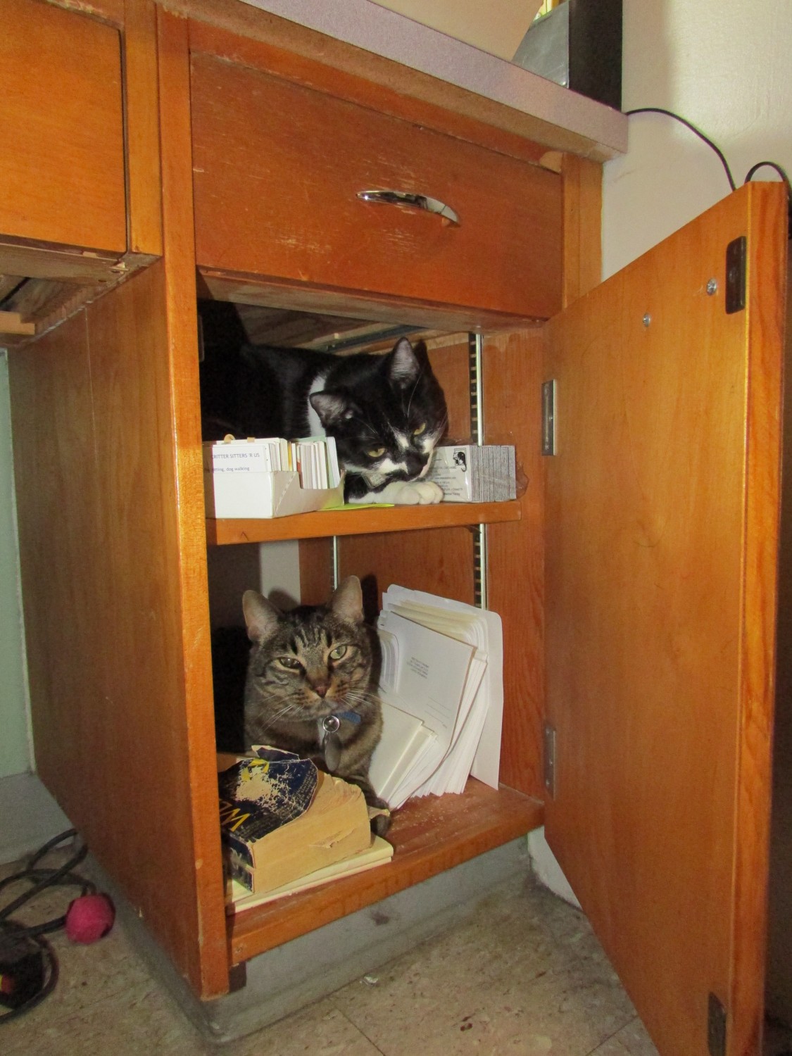 Binx and Ranger