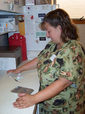 Tanya starts a Heartworm Test