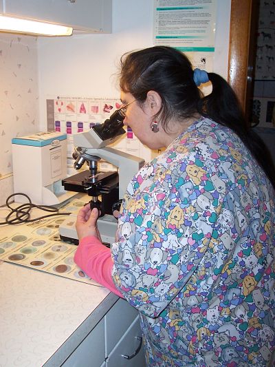 Debbie looking at a slide under the microscope