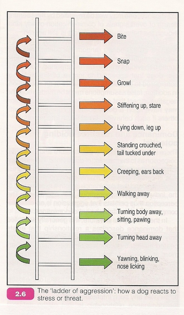 Dog Aggression Chart